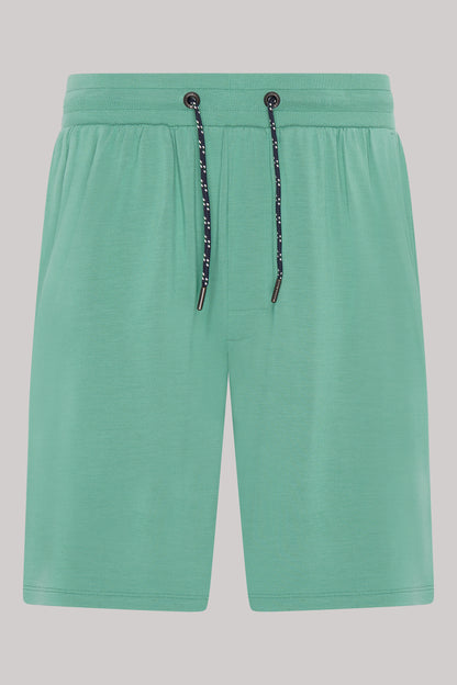 Men's Sleepwear-Modal Top and Short Set